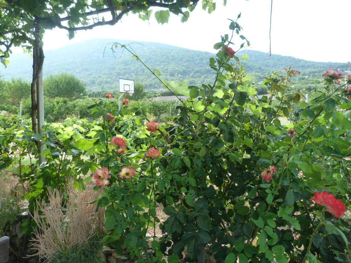 Country House Speedy Komiža Esterno foto